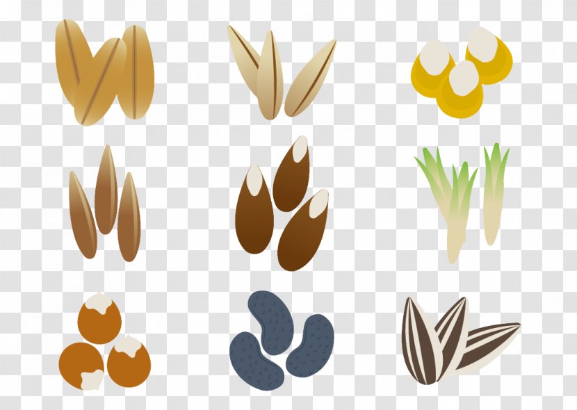 Seeds Sprout! Plant Germination - Seedling - Rice Stick Figure Transparent PNG