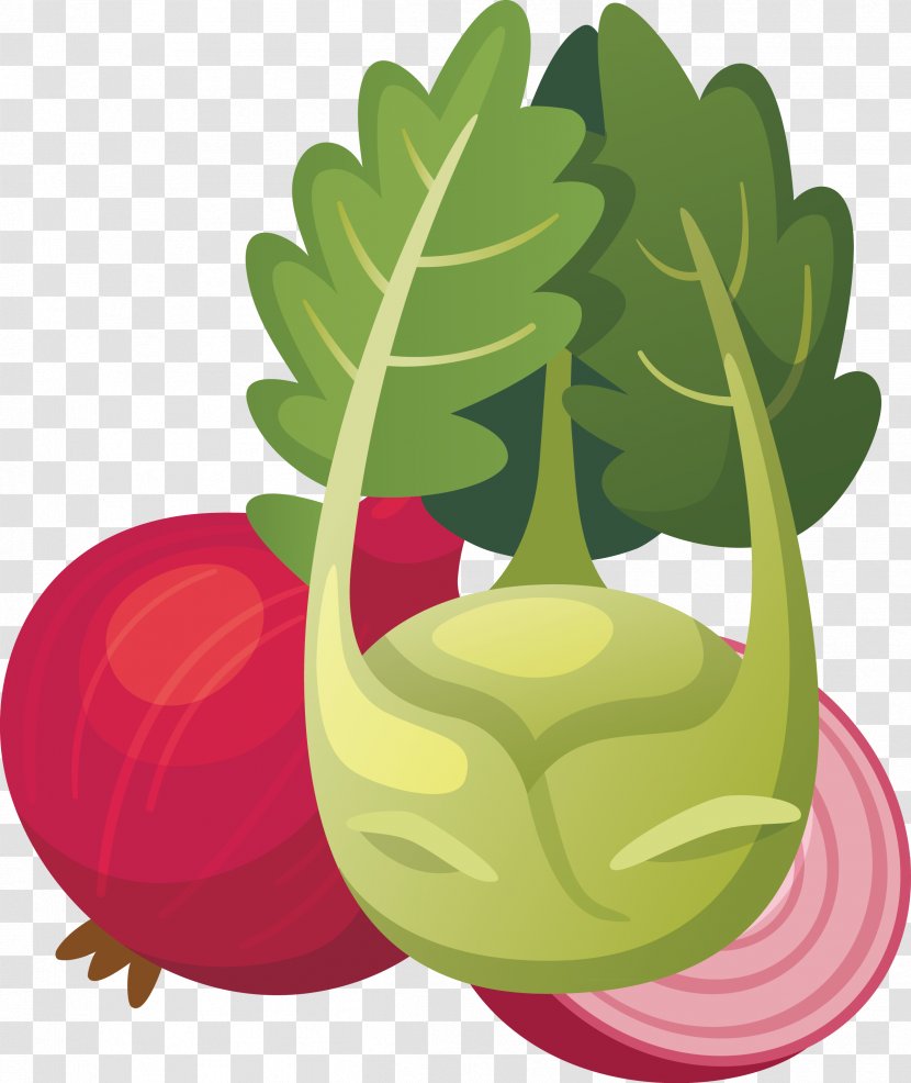 Fruit Vegetable Radish Turnip Gouache - Painting Vegetables Transparent PNG