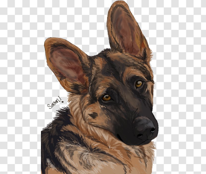 German Shepherd Kunming Wolfdog Dog Breed Painting Transparent PNG