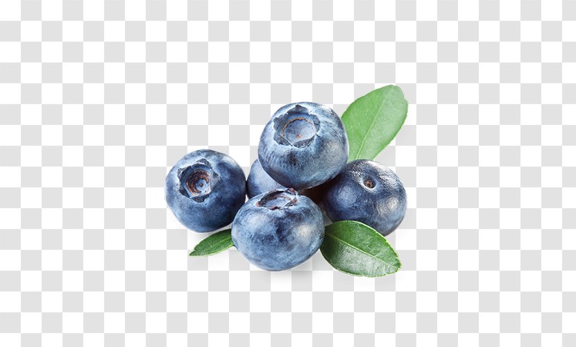 Bilberry Marmalade Dietary Supplement Food Fruit - Berry - Arandanos Transparent PNG