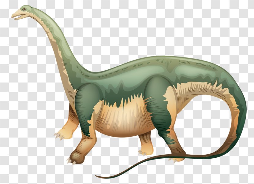 Apatosaurus Brachiosaurus Dinosaur Clip Art - Jaw - Green Transparent PNG
