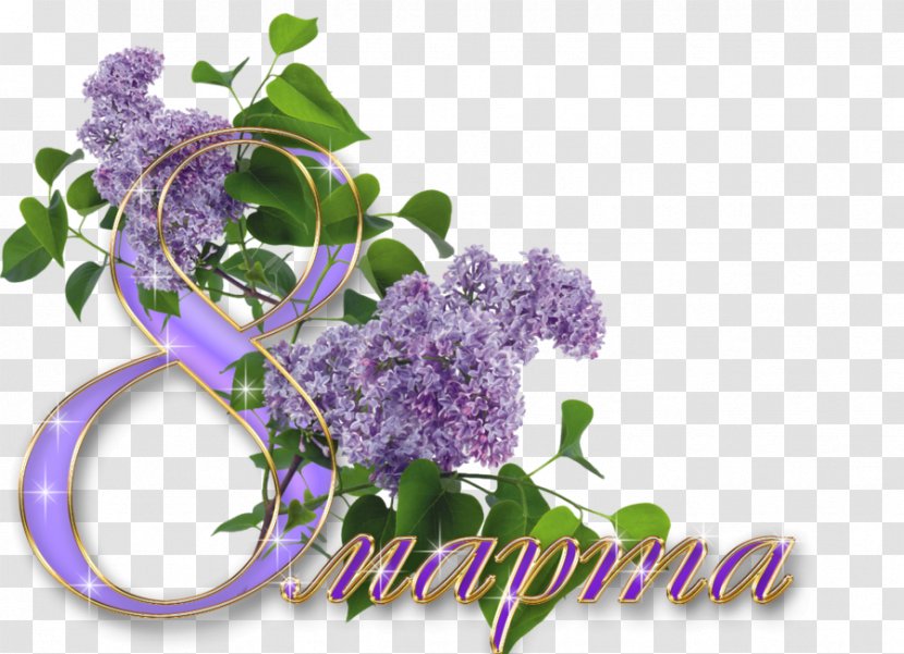 International Womens Day Holiday Ansichtkaart Woman Animation - Prose - Purple Lilac Decorative Material Transparent PNG