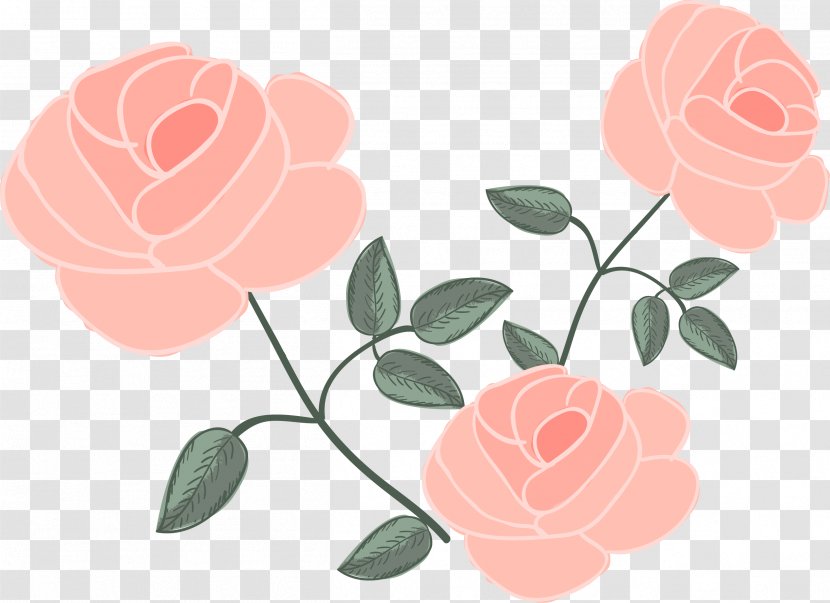 Rose Flower Euclidean Vector Drawing - Art - Pink Transparent PNG