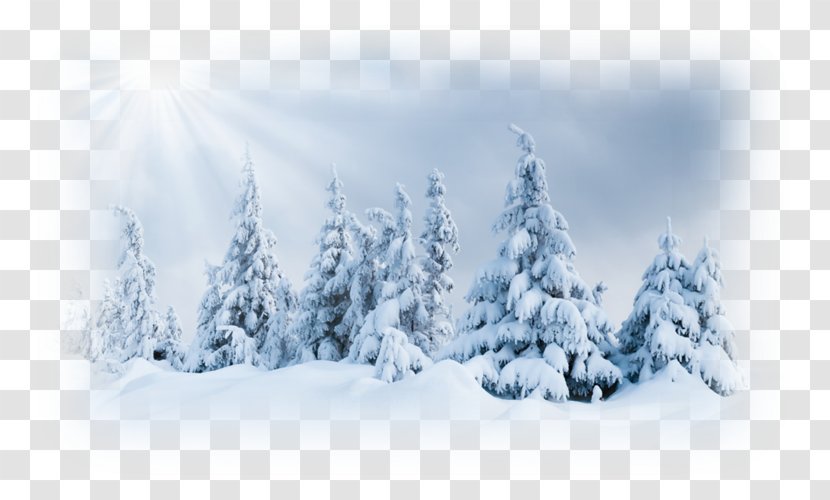 Ultraviolet Winter Snow Royalty-free Clip Art - Snowman Transparent PNG