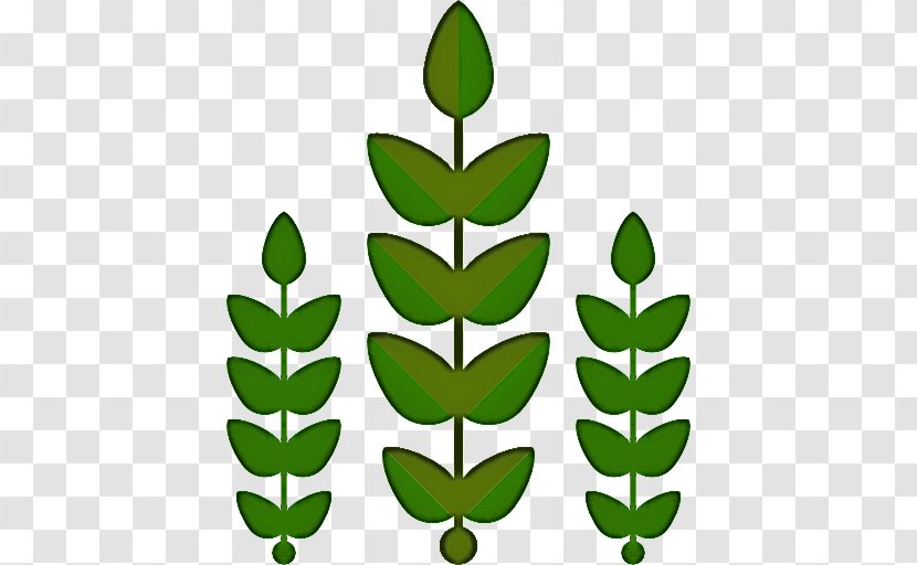 Leaf Green Plant Flower Tree - Stem Transparent PNG