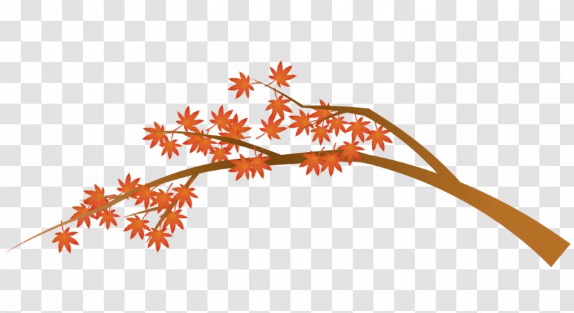 Autumn Leaf Color Illustration Brown - Branch Transparent PNG