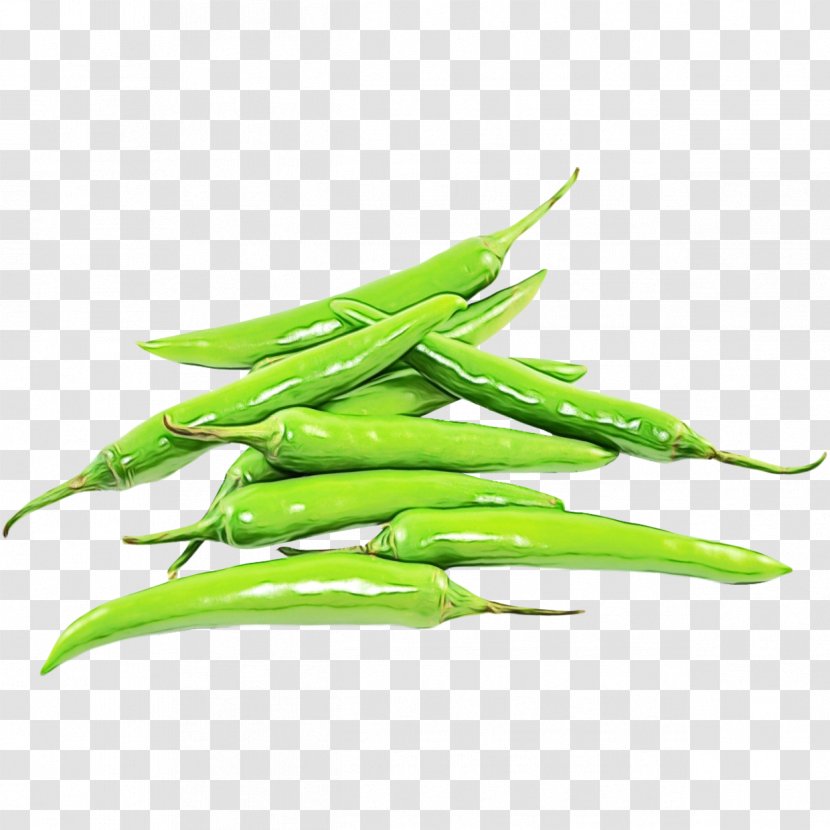 Eye Cartoon - Plant - Malagueta Pepper Green Bean Transparent PNG