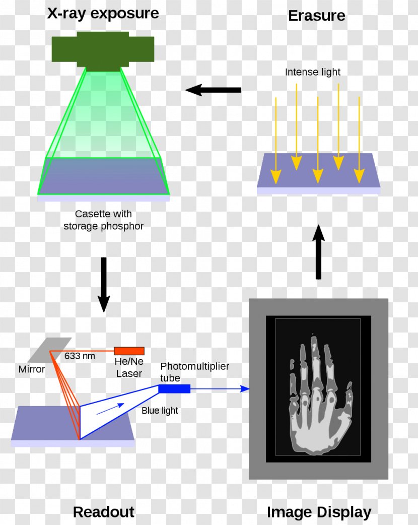 Photostimulated Luminescence Computed Radiography Industrial Tomography - Diagram - Text Transparent PNG