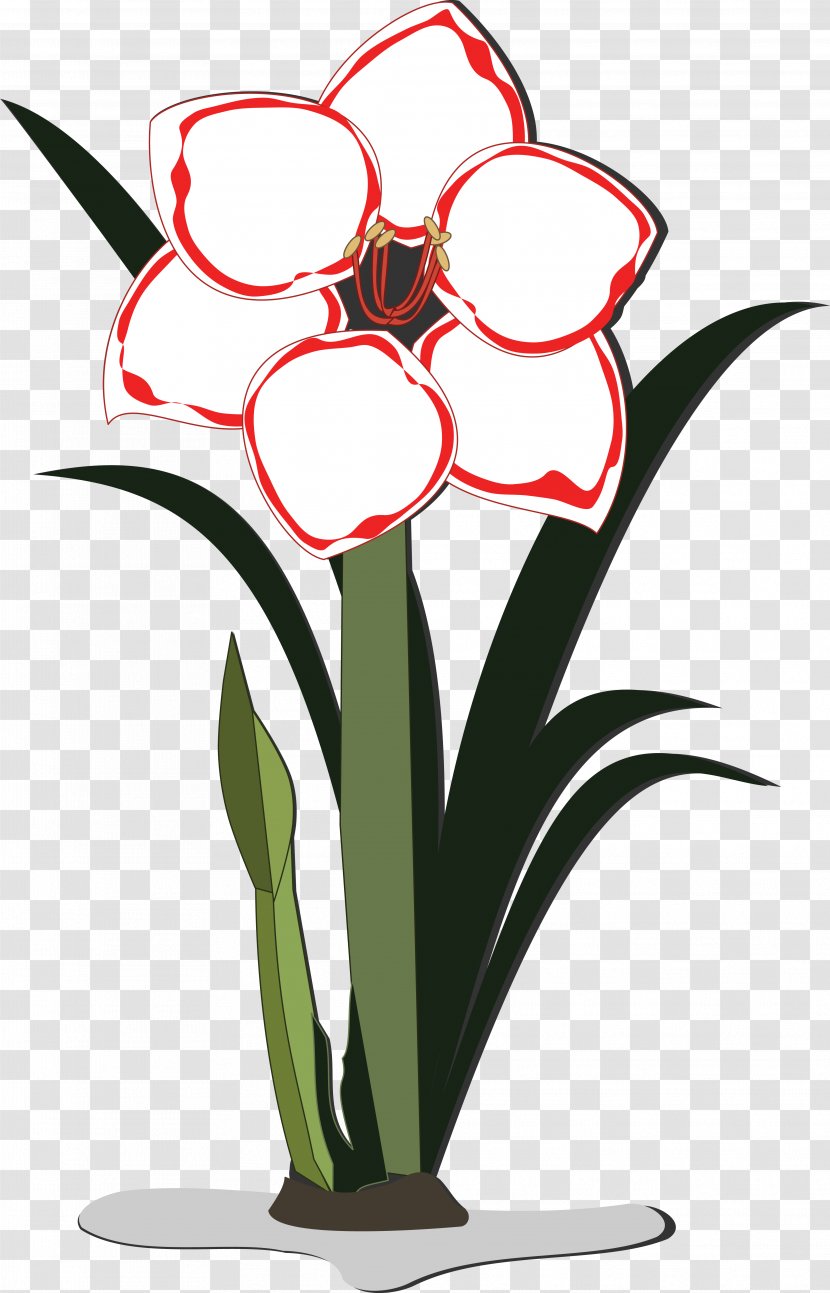 Flowerpot Floral Design Clip Art Jersey Lily - Amaryllis Belladonna - Flower Transparent PNG