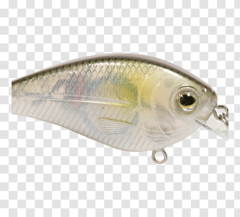 Spoon Lure Oily Fish Perch AC Power Plugs And Sockets - Fin - Livingston Lures Transparent PNG