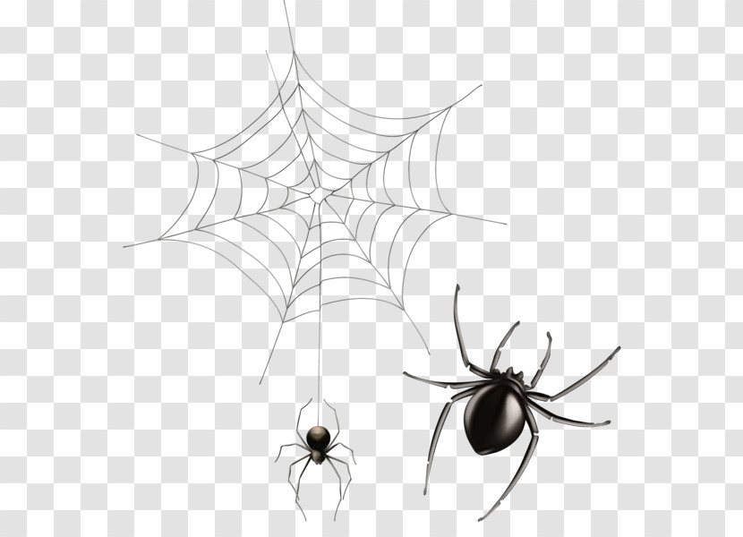 Spider Web Transparent PNG