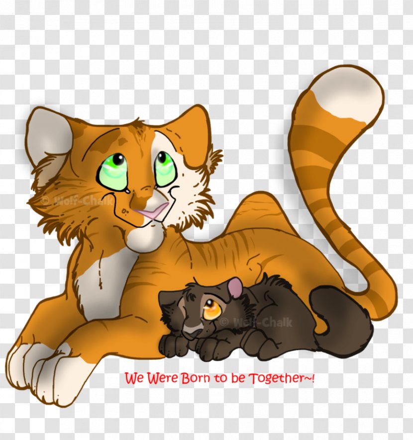 Whiskers Kitten Cat Paw Clip Art - Mammal Transparent PNG