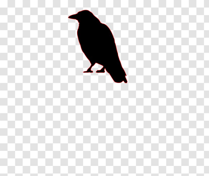 American Crow Bird Common Raven Clip Art Transparent PNG