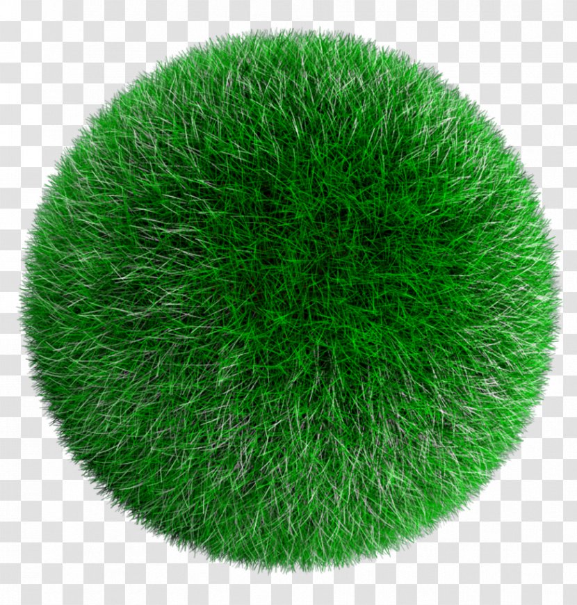 Ball Lawn Sphere - Grass Transparent PNG