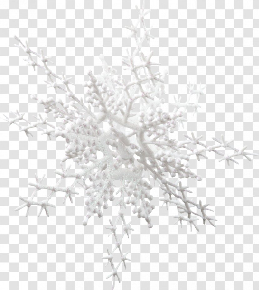 Snowflake Lovat River Clip Art - Twig Transparent PNG