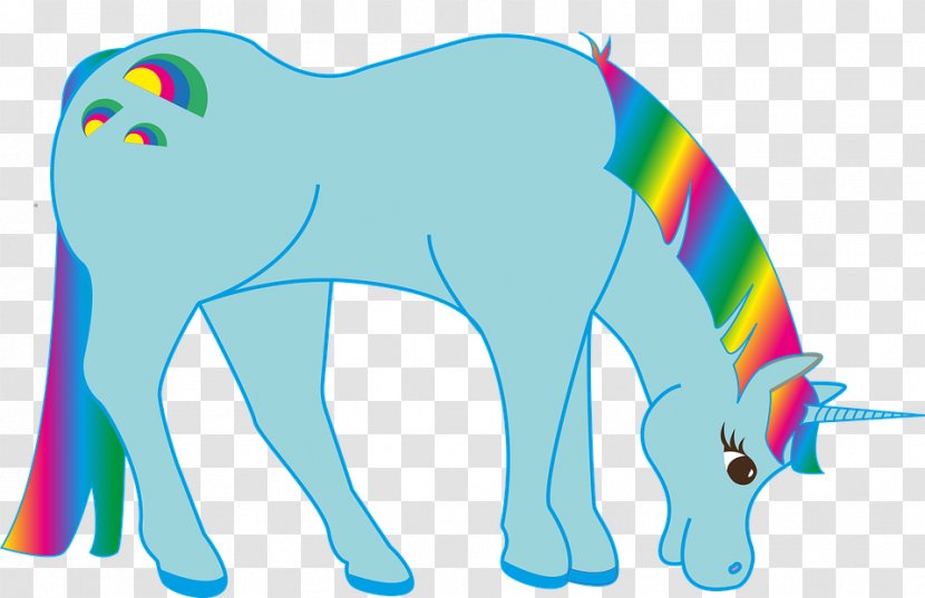Unicorn Rainbow Pony - Frame Transparent PNG