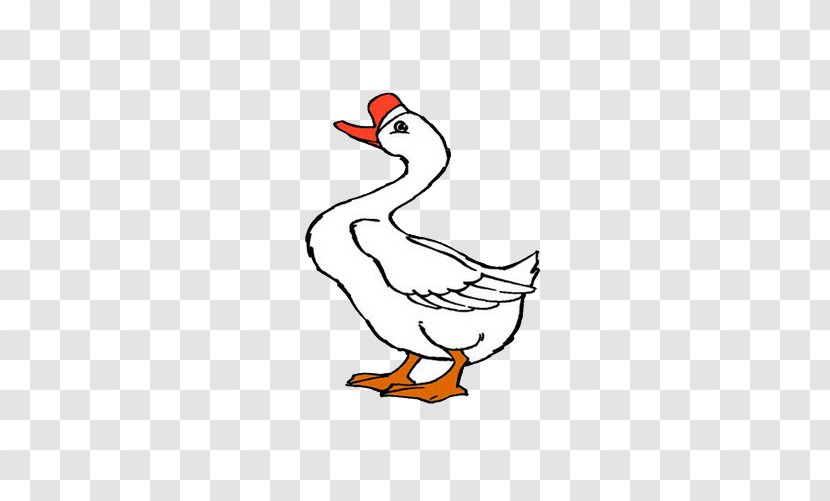 Domestic Goose Cartoon Duck - Ducks Geese And Swans Transparent PNG