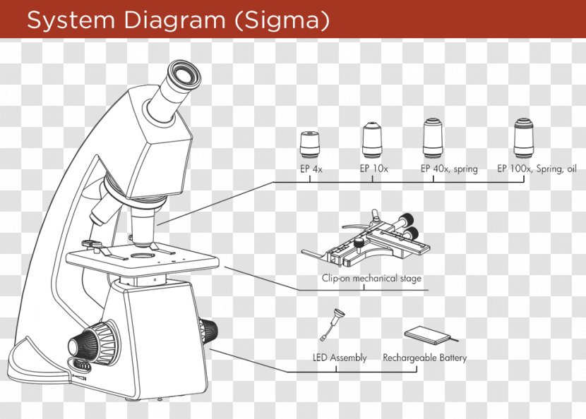H&M Angle Car - Diagram - Microscope Drawing Transparent PNG