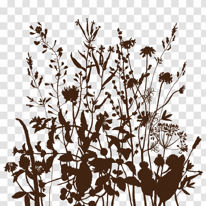 Drawing Silhouette - Black - Hand Painted Wildflowers Transparent PNG