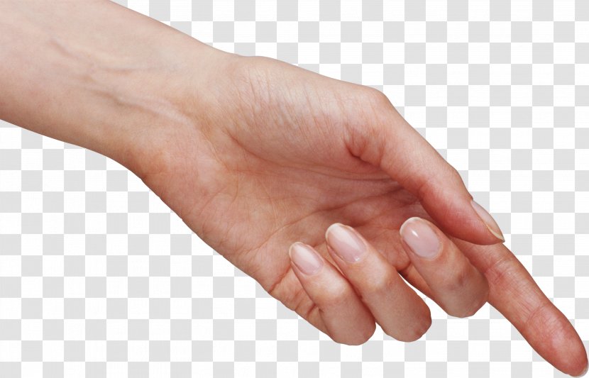 Hand Icon - Thumb - Hands , Image Free Transparent PNG