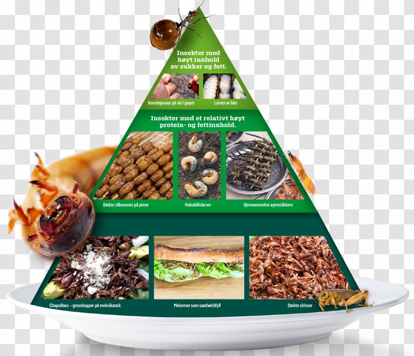 Vegetarian Cuisine Insect Food Ant Meat Transparent PNG