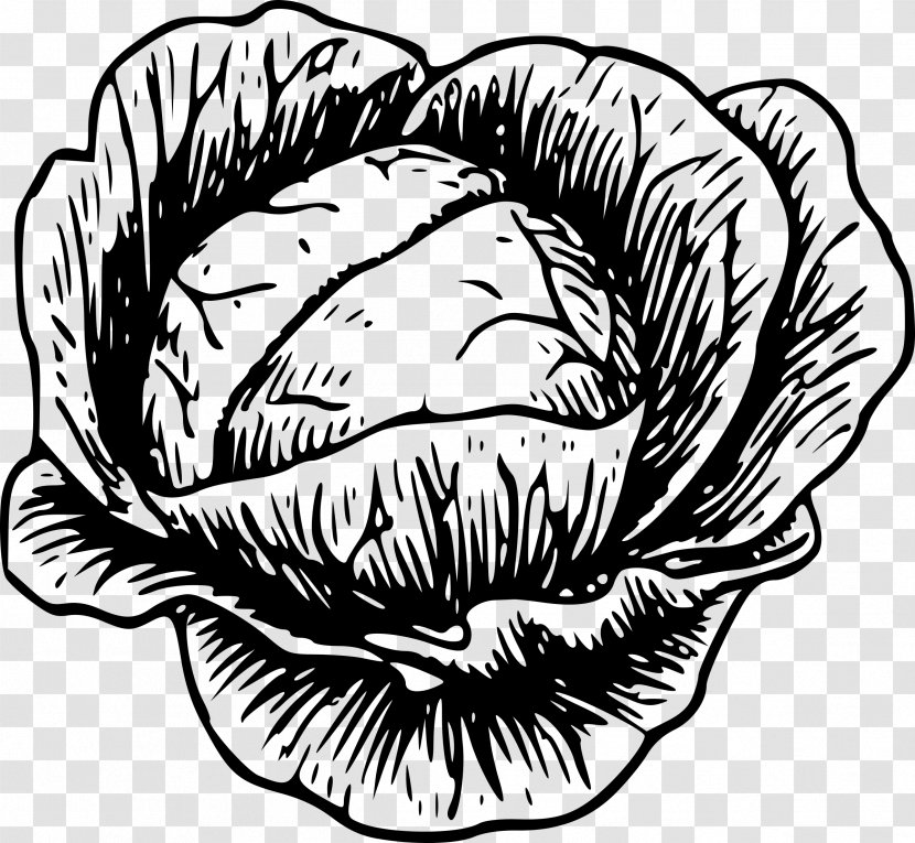 Cabbage Vegetable Drawing Clip Art - Flower Transparent PNG