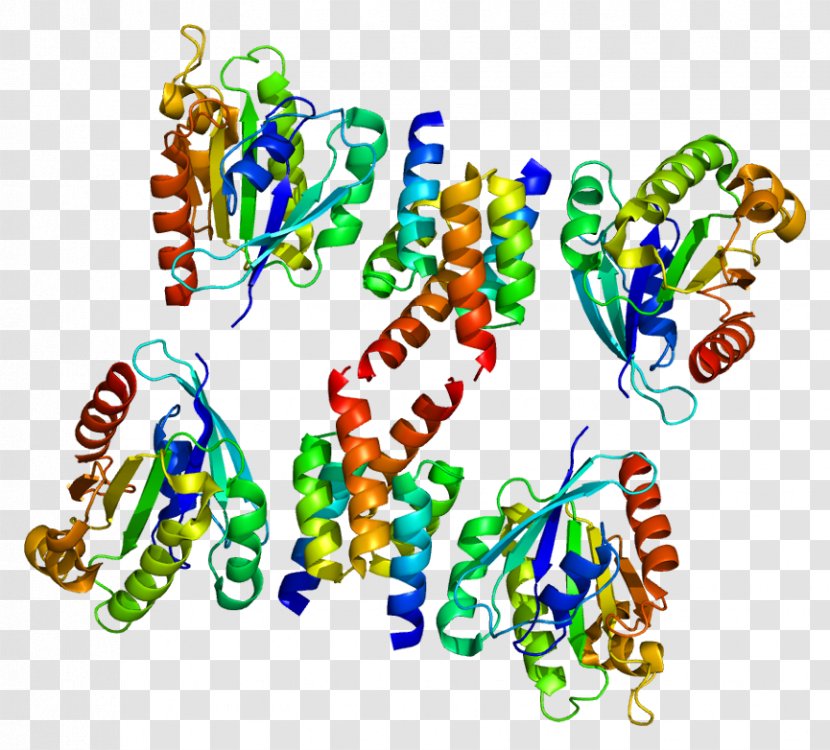GOLGA4 ARL1 GOLGA1 Golgi Apparatus ADP Ribosylation Factor - Silhouette - Watercolor Transparent PNG