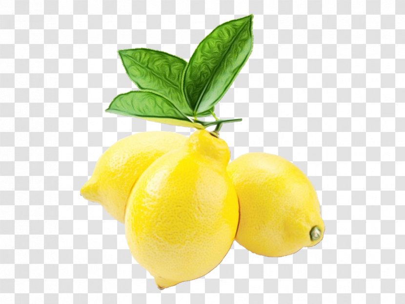 Fruit Yellow Plant Food Leaf - Natural Foods Lemon Transparent PNG