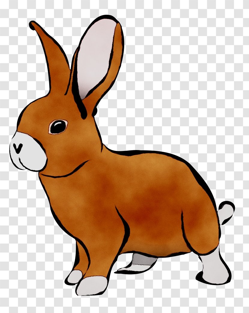 Clip Art Rabbit Free Content Image Easter Bunny - Hare - Mammal Transparent PNG