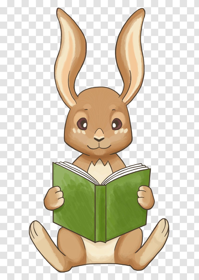 Rabbit Hare Homeschooling Learning Education - Animal - Small Fresh Transparent PNG