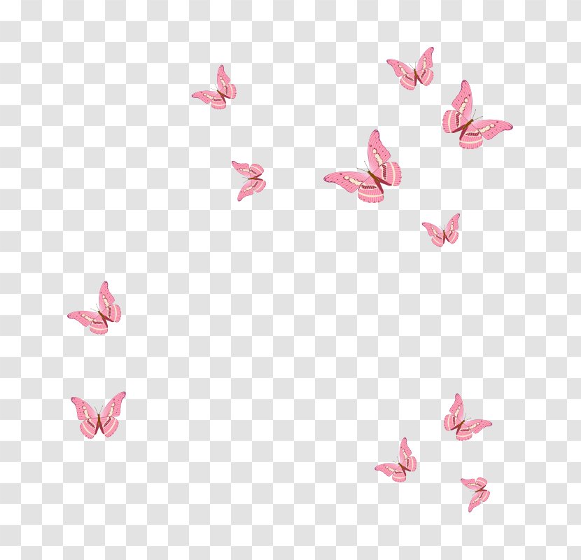 Butterfly - Heart Transparent PNG