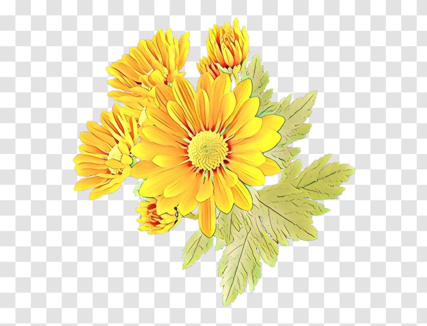 Flower Flowering Plant Gerbera Yellow Barberton Daisy - Petal English Marigold Transparent PNG