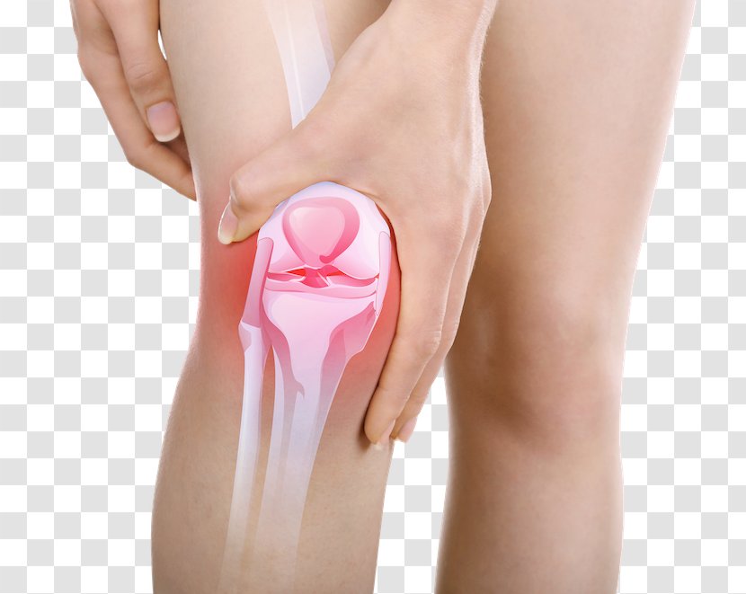 Knee Pain Dietary Supplement Joint Health - Flower Transparent PNG