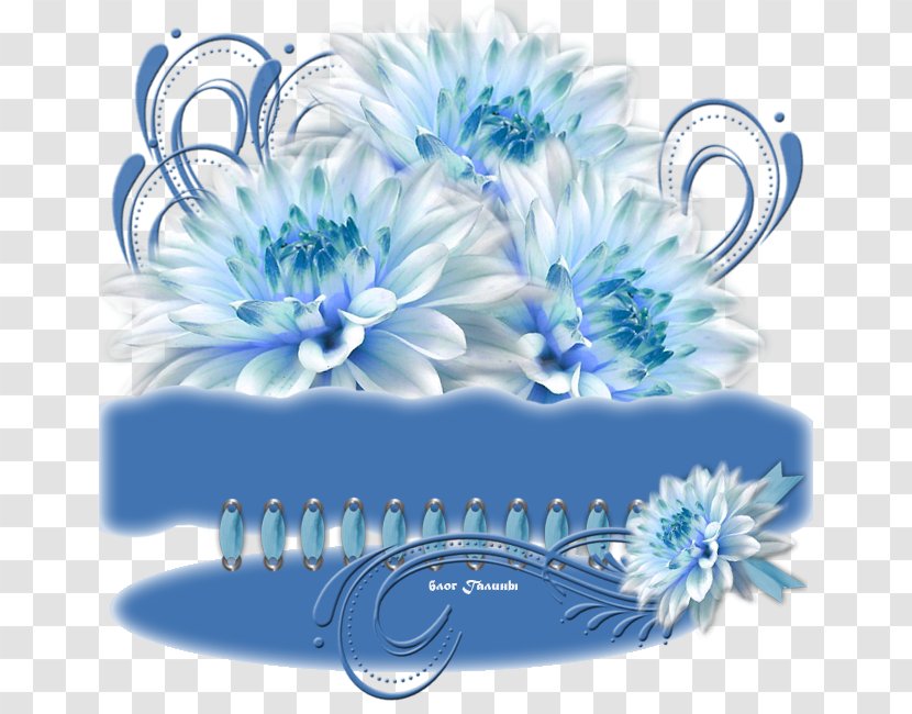Petal Floral Design Cut Flowers Transparent PNG