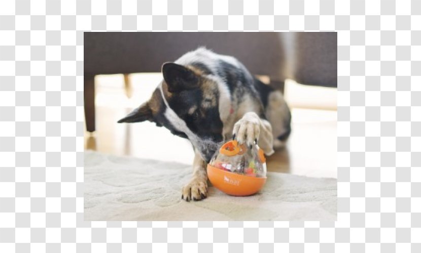 Dog Toys Breed Kong Company Sheriff Woody - Play - Toy Transparent PNG