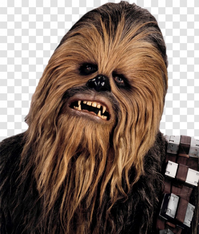 Chewbacca Han Solo Star Wars Wookieepedia - Wookiee - Episode Vii Transparent PNG