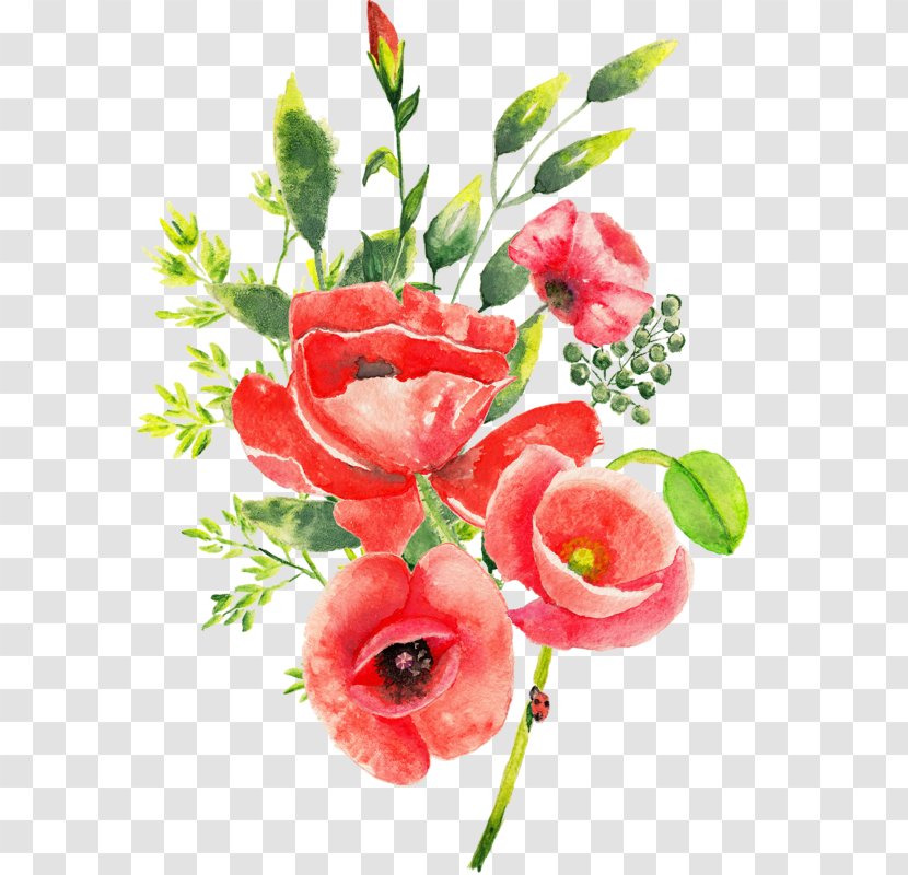 Floral Design Cut Flowers Watercolor Painting - Flowering Plant - Flower Transparent PNG