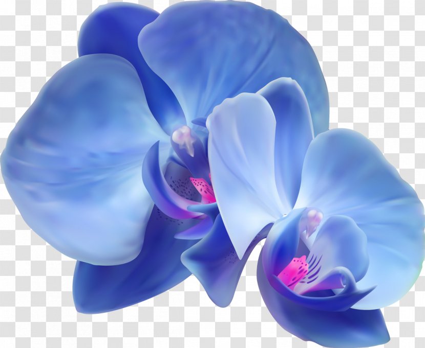 Orchids Artificial Flower - Blue Transparent PNG