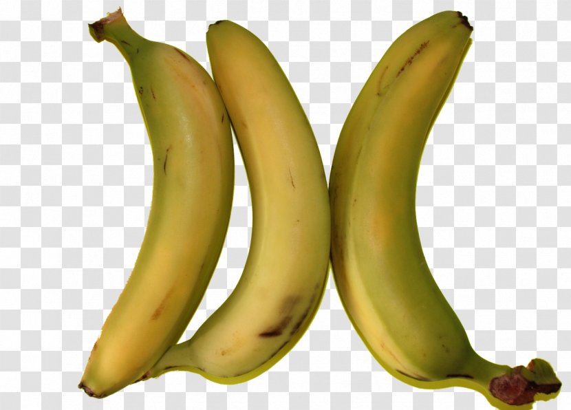 Organic Food Cooking Banana Fruit - Saba Transparent PNG