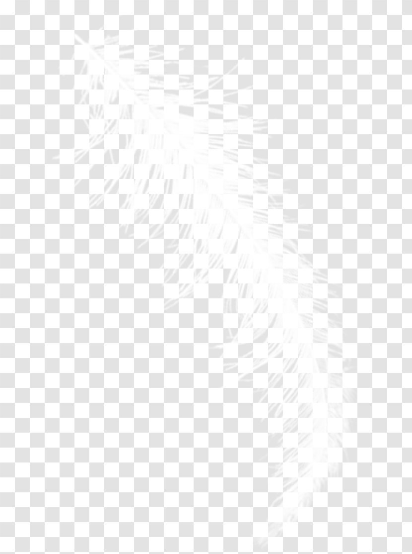 White Black Angle Pattern - And - Feather Transparent PNG
