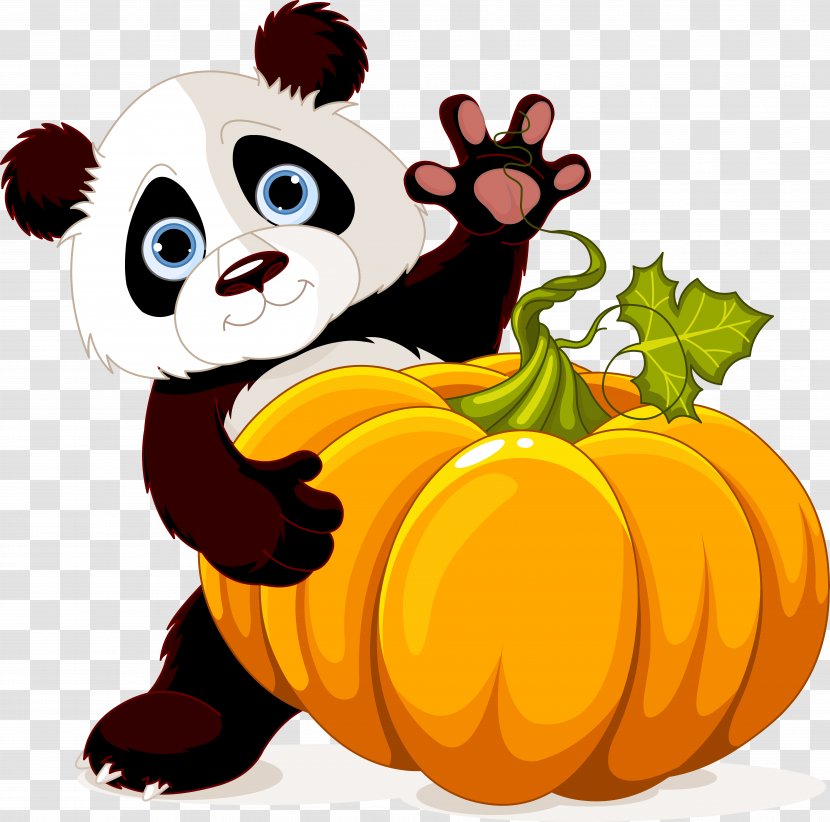 Panda Holding Pumpkin - Vertebrate - Fruit Transparent PNG