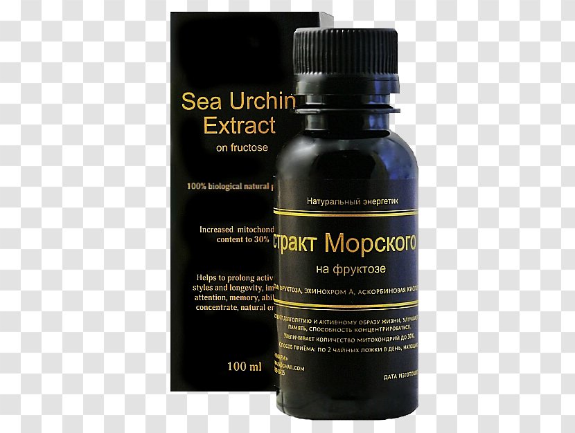 Sea Urchin Extract Health Longevity Transparent PNG