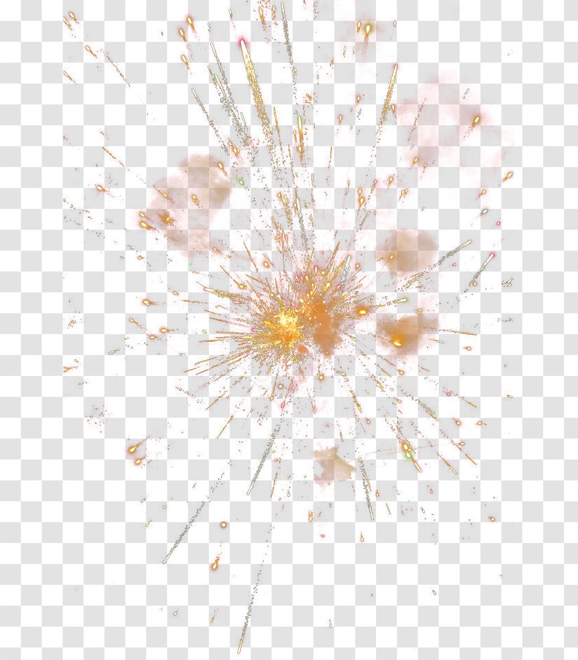 Petal Yellow Pattern - Flower - Fireworks Transparent PNG