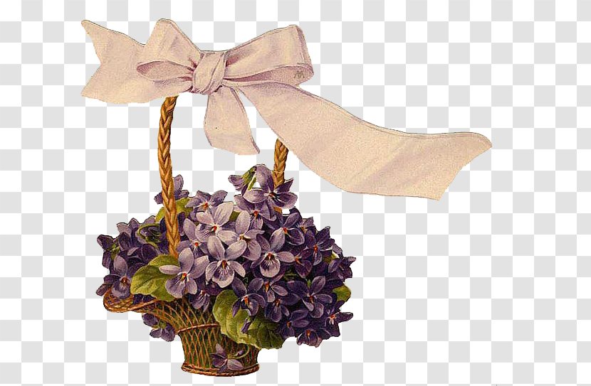 Flower Floral Design Victorian Era Blume Drawing - Violet - Orchid Transparent PNG