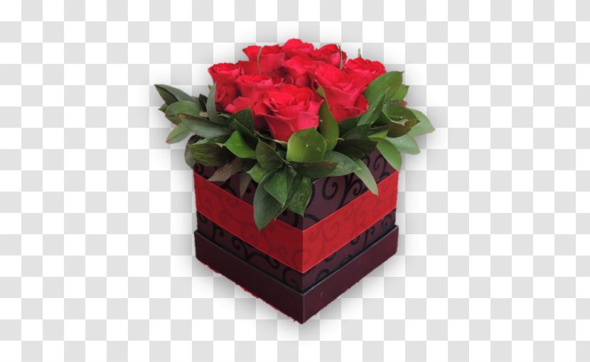 Cut Flowers Garden Roses Floral Design - Plant - Flower Box Transparent PNG