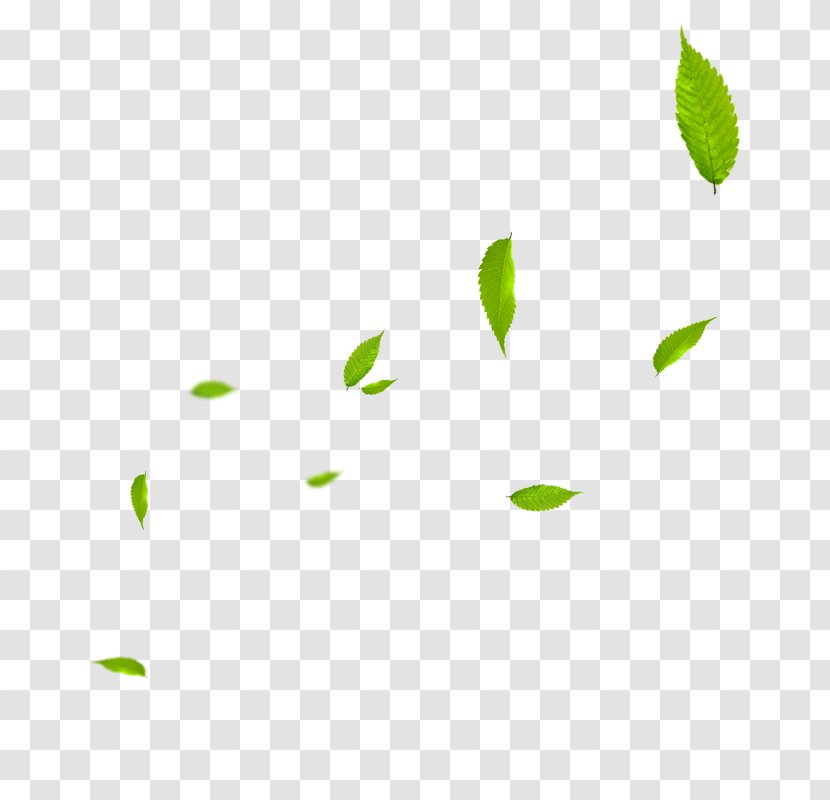 Download Watermark - Gratis - Leaves Transparent PNG