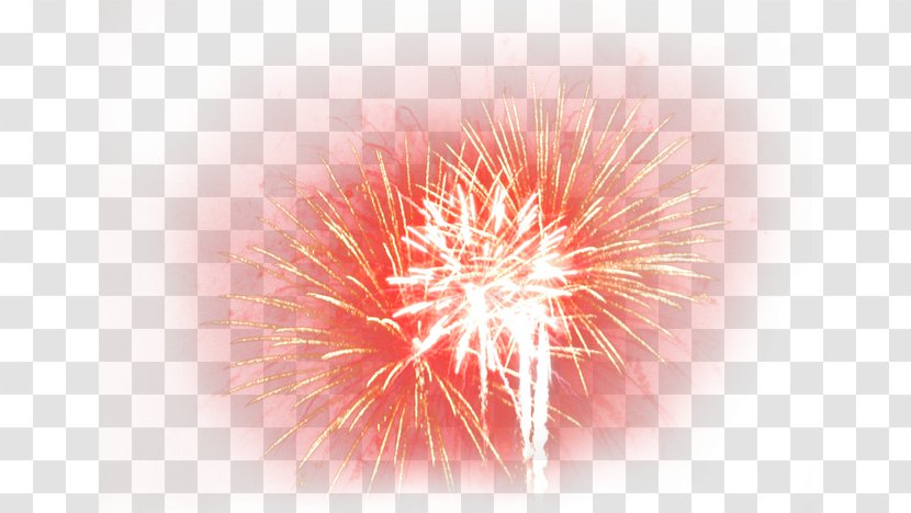 2016 San Pablito Market Fireworks Explosion - Petal - HD Material Transparent PNG