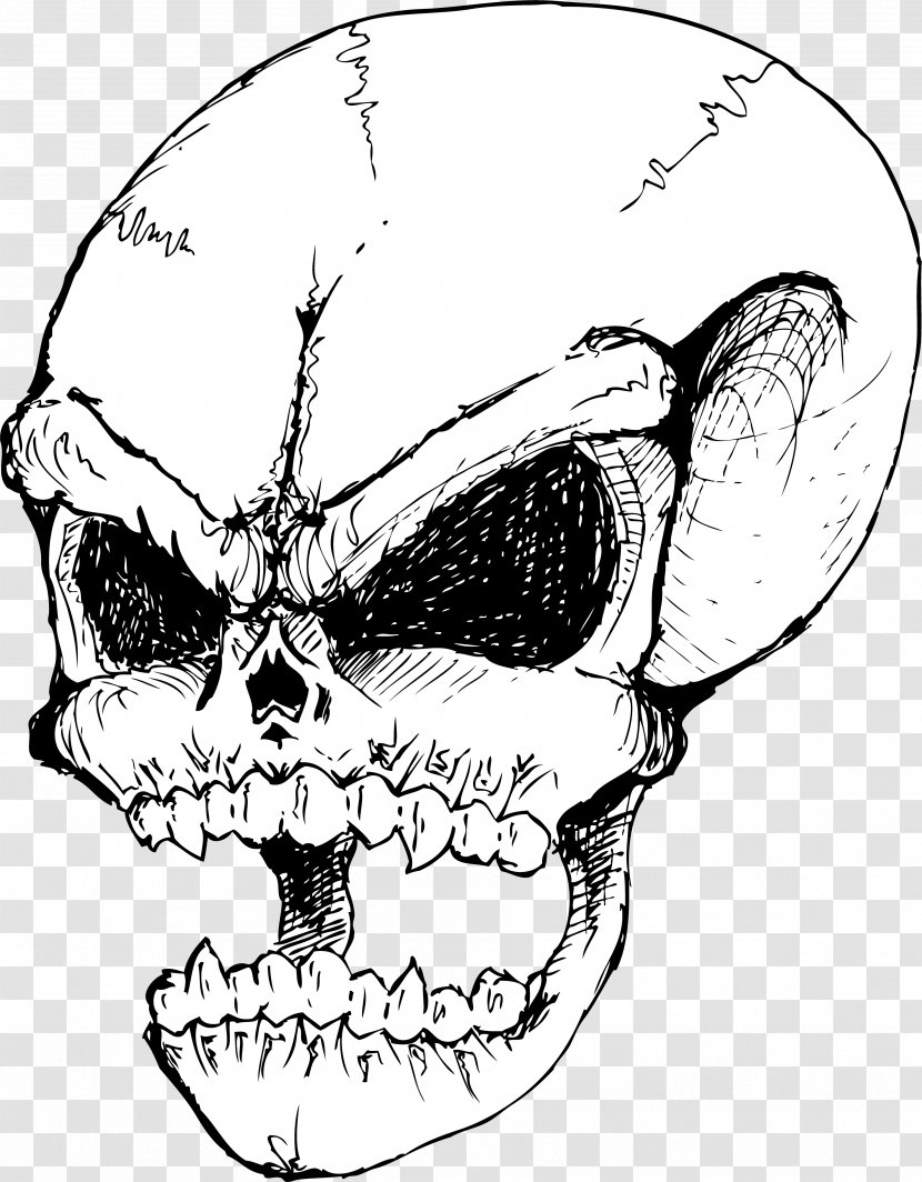 Skull Drawing - Line Art - Mouth Forehead Transparent PNG