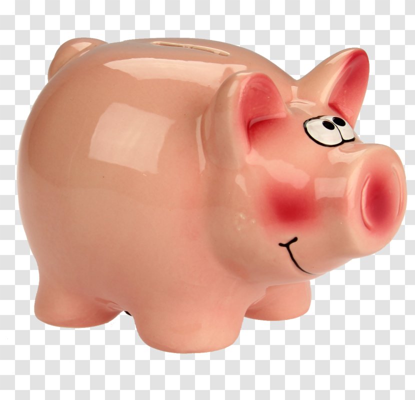 Domestic Pig Piggy Bank Tirelire Ceramic Money - Snout - Blick Transparent PNG