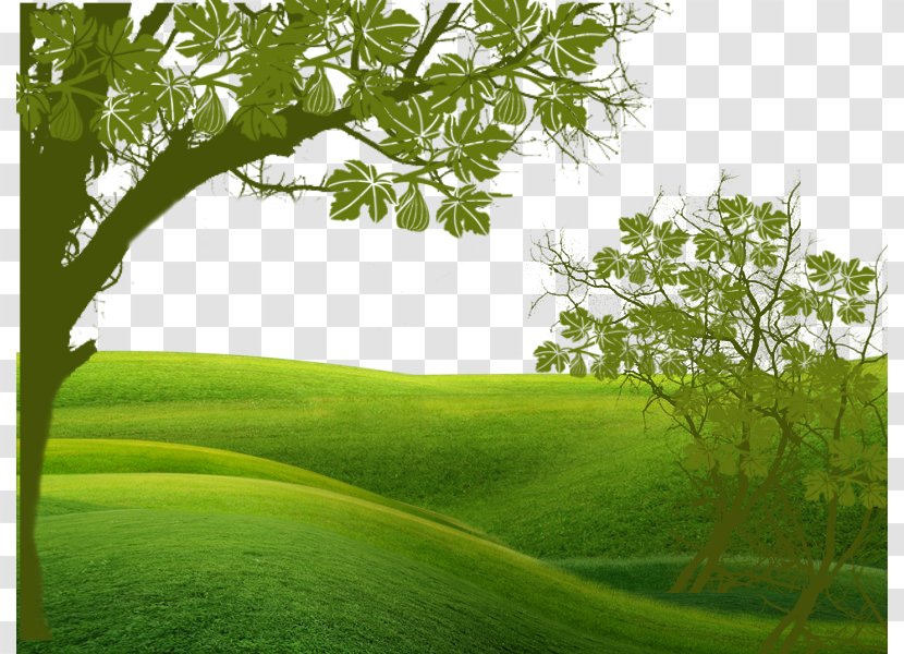 Green Euclidean Vector - Landscape - Under The Shade Of Fields Transparent PNG